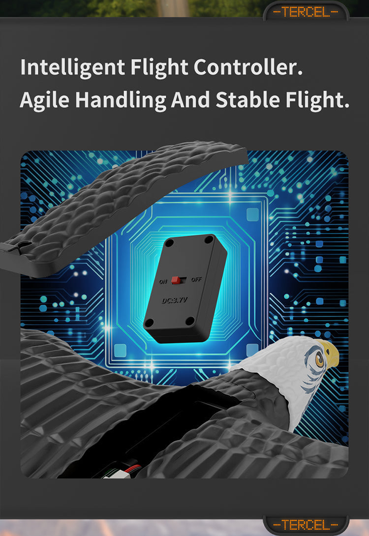 RC Eagle For Kids Trendy zone