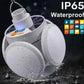Solar Emergency Charging Lamp My Store